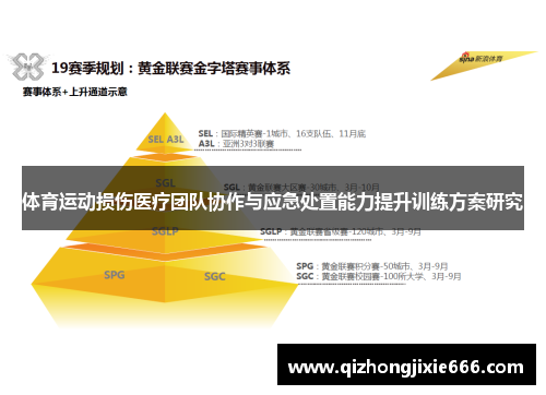 体育运动损伤医疗团队协作与应急处置能力提升训练方案研究