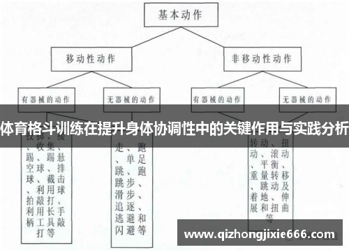 体育格斗训练在提升身体协调性中的关键作用与实践分析