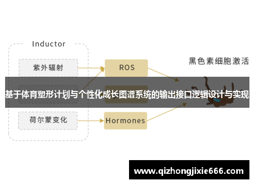 基于体育塑形计划与个性化成长图谱系统的输出接口逻辑设计与实现