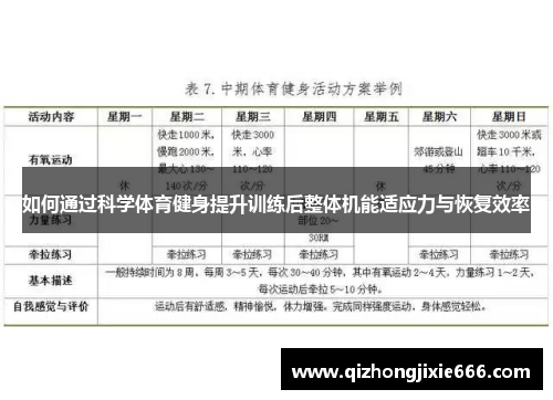 如何通过科学体育健身提升训练后整体机能适应力与恢复效率