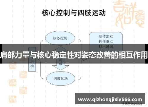 肩部力量与核心稳定性对姿态改善的相互作用