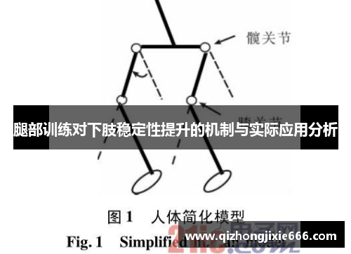 腿部训练对下肢稳定性提升的机制与实际应用分析